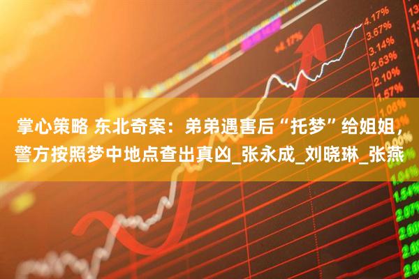 掌心策略 东北奇案：弟弟遇害后“托梦”给姐姐，警方按照梦中地点查出真凶_张永成_刘晓琳_张燕